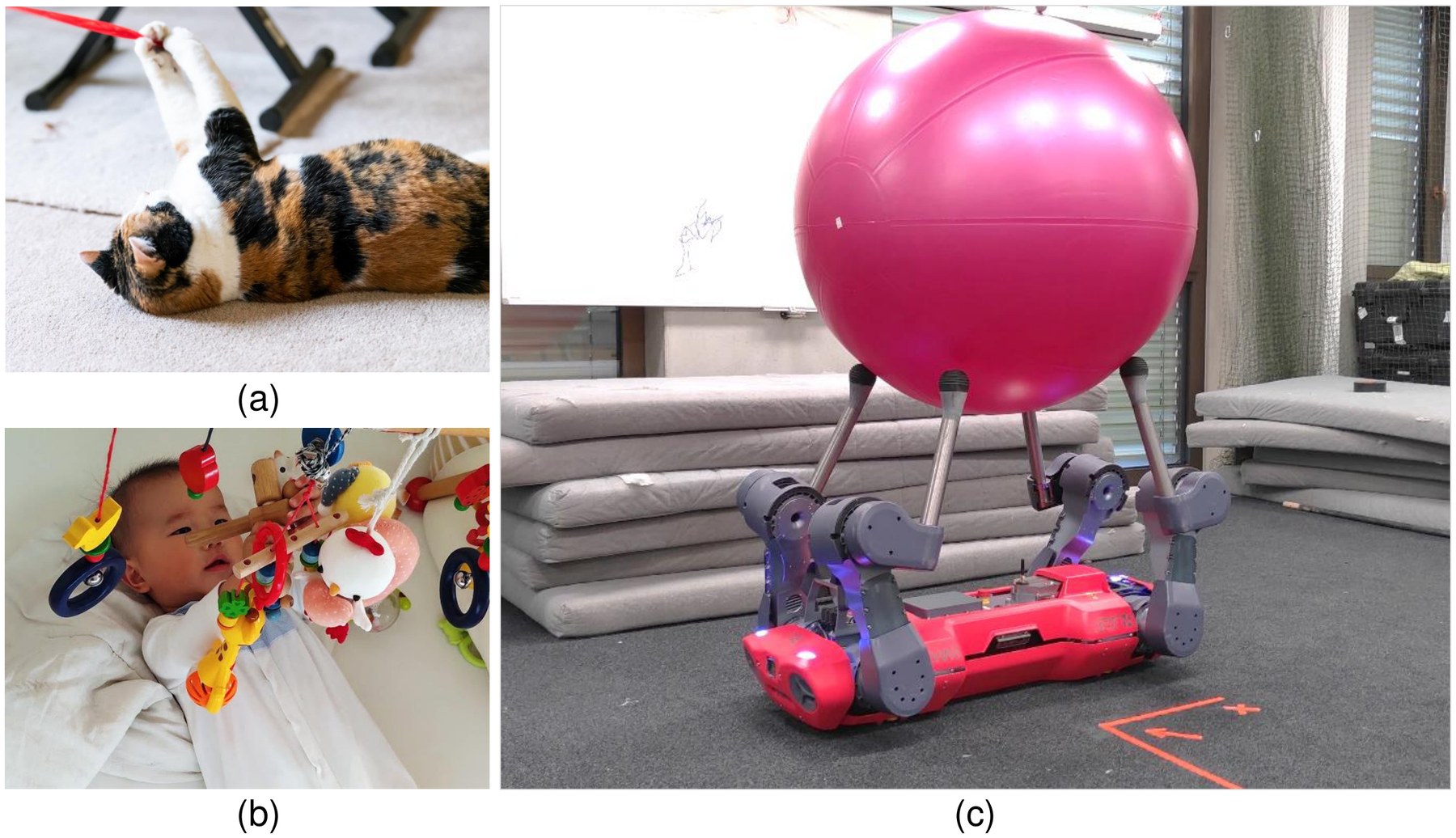 A cat on its back playing with a toy, a baby reaching for toys, and ANYmal on its back holding a pink yoga ball on its four feet