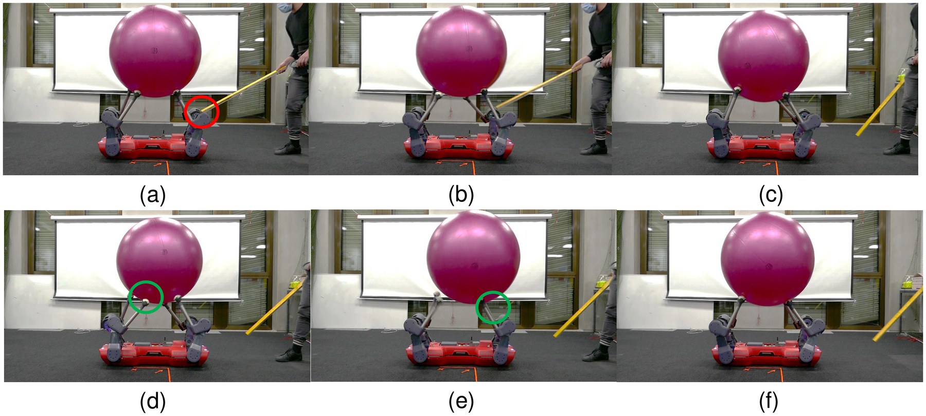 Six photos: a stick pushes one of ANYmal's legs; the ball turns abnormally, then the legs recover