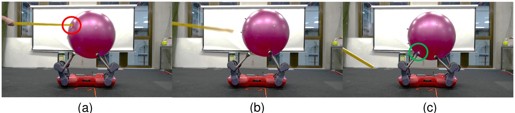 Three photos: a stick pokes the pink ball, the ball is displaced, and the legs recover it