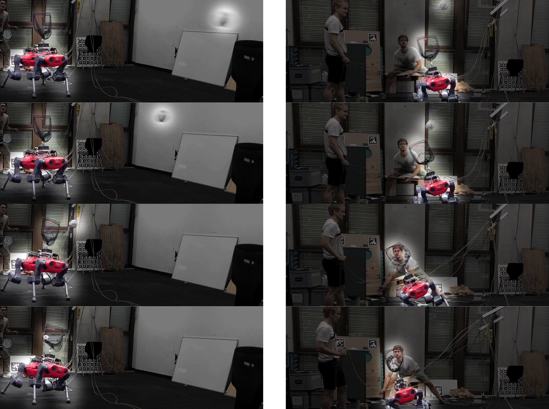 Two image sequences of ANYmal tilting and side-stepping to catch balls in its net.