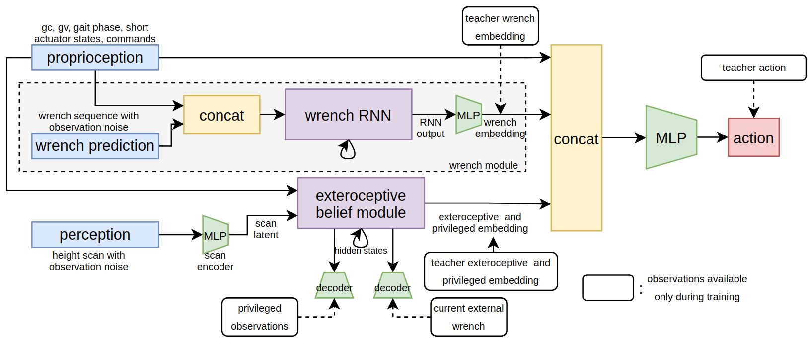 Block diagram of the student policy: proprioception and wrench prediction into a wrench RNN, perception into an exteroceptive belief module with decoders, all concatenated into an MLP producing the action