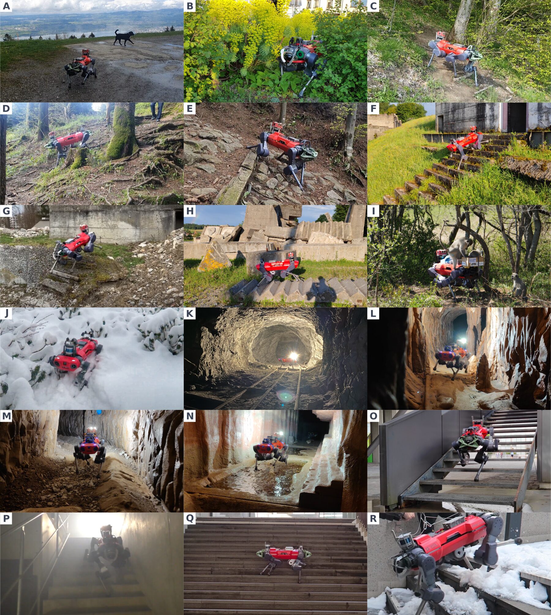 Paper Fig. 1: grid of photos of ANYmal on slopes, grass, forest, caves, stairs, fog and snow