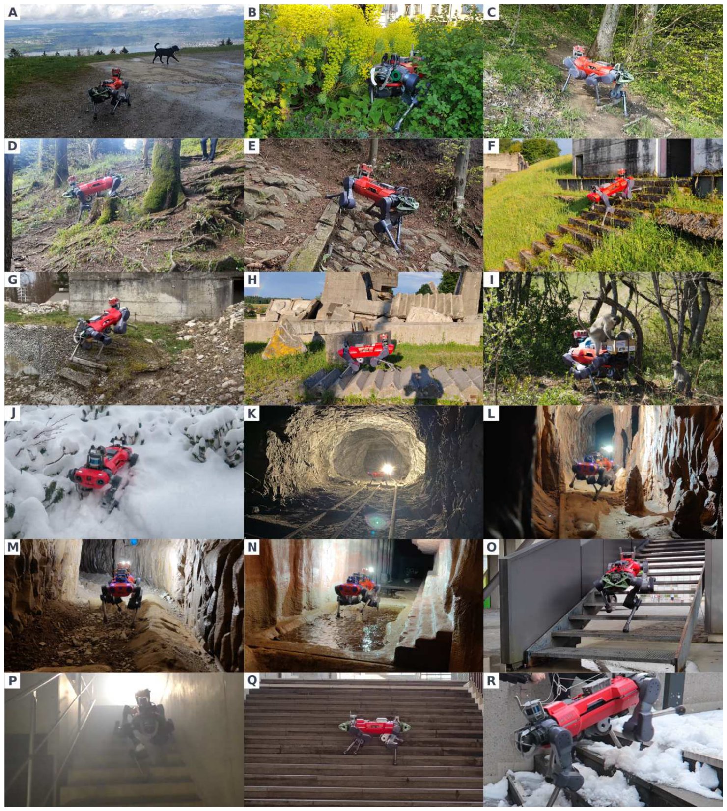 A grid of photos of ANYmal on slopes, snow, forest, caves, stairs and in fog