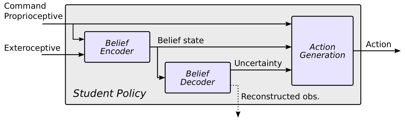 Block diagram: proprioceptive and exteroceptive inputs go into a belief encoder, whose belief state feeds a belief decoder and an action generation block; the decoder's uncertainty also feeds the action block