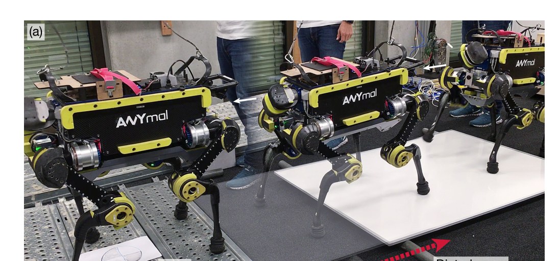 Photos of ANYmal on a board being moved, on a thin ledge, on a seesaw and stepping over a person lying on the floor