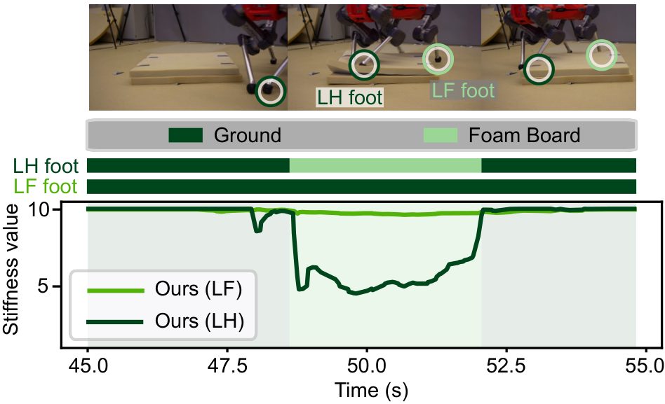 Real-world stiffness estimates while walking over a foam board