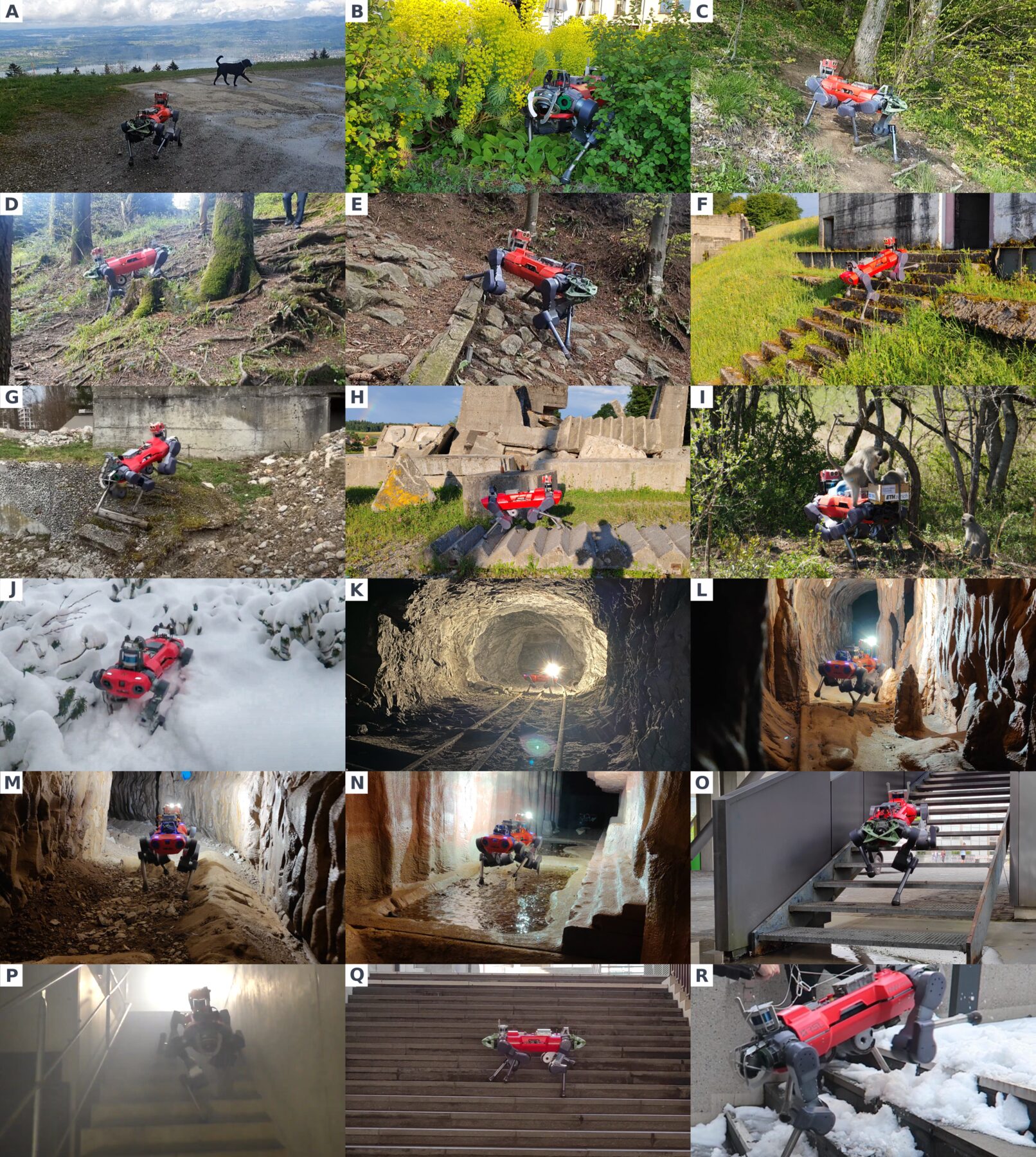 ANYmal deployments across 18 real-world terrains: forest, snow, caves, stairs and rubble